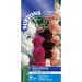 Hollyhock - Chater's Mix (Seed)