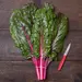 Swiss Chard - True Magenta (Organic Seed)
