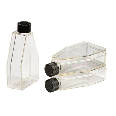 Vent Cap 25 cm2 Corning 3056 Sterile Cell Culture Flasks Angled Neck Corning Incorporated Pack of 10 Vent Cap 25 cm2 Corning 3056 Sterile Cell Culture Flasks Angled Neck Corning Incorporated Pack of 10