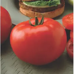 Tomato - Big Beef Hybrid (Bulk Seed)