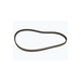 Timing Belt