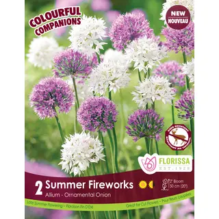 Allium Mix - 'Summer Fireworks' 2/pkg