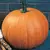 PUMPKIN CONNECTICUT FIELD 25G
