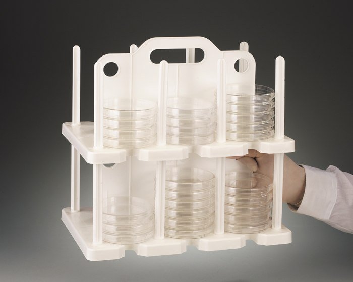 Petri Dish Handled Rack Petri Dishes er Scientific