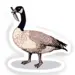 Wildlife Stickers