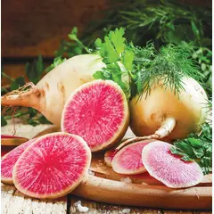 Radish - Watermelon (Bulk Seed)