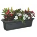 30" Distinction Window Box