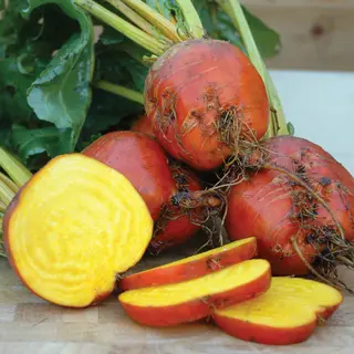 Beet - Boldor (Seed)