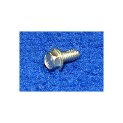 Screw