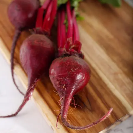 BEETS RED OG | 25 LBS