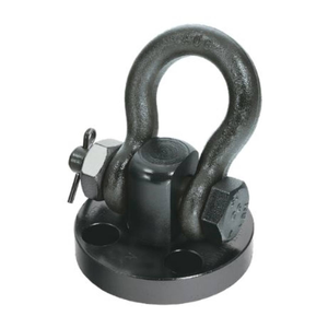 Shackle Hoist Rings
