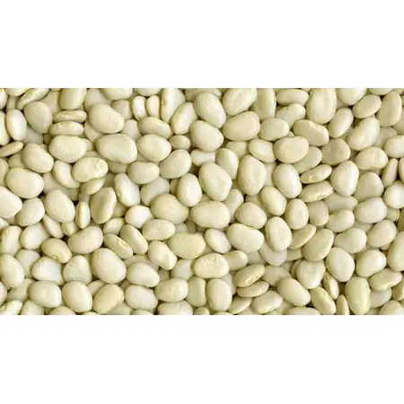 BEANS LIMA BABY WHITE OG | 25 LBS