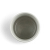 Teacup Japanese Cats