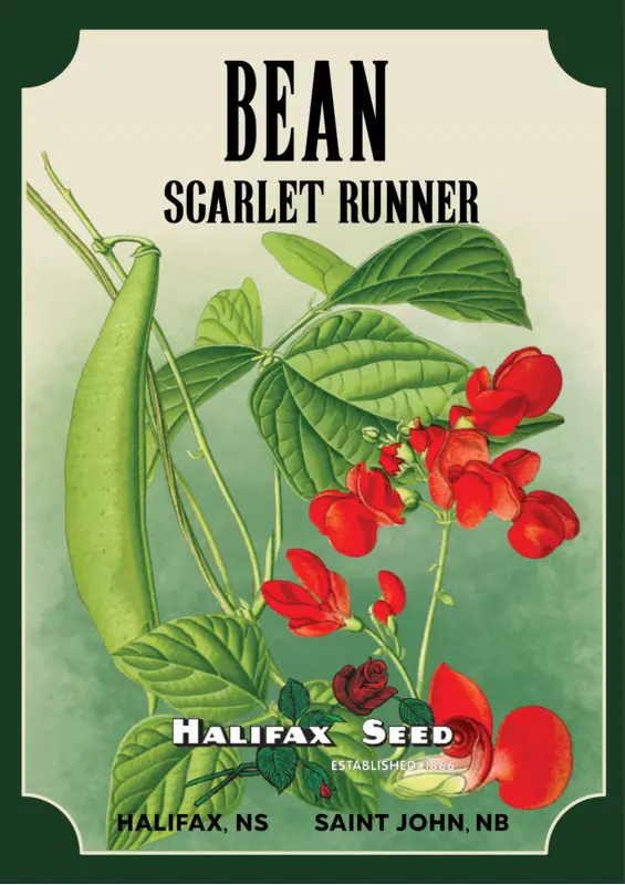 Halifax Seed Company photo 1