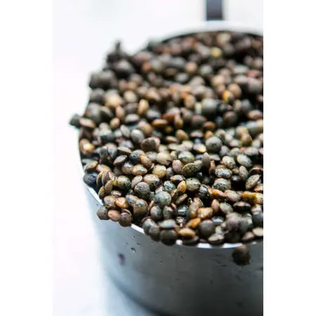 BEANS LENTILS FRENCH INDIGO OG | 25 LBS
