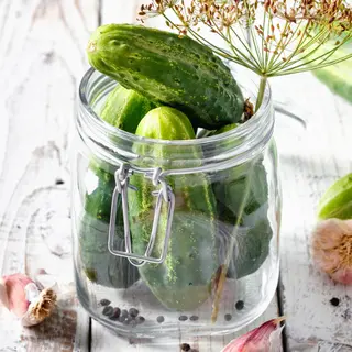 Cucumber - Gherkin Venlo (Seed)