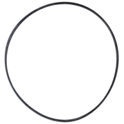 O-Ring (OR-PP-202)