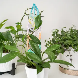 Anthrulla Wooden Plant Trellis