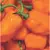 HOT - HABANERO 2G