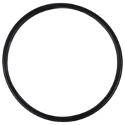 O-Ring (OR-PP-1980)