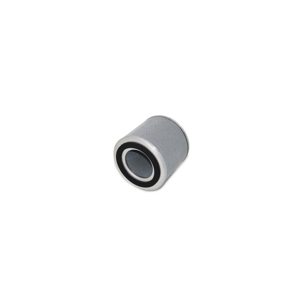 Nilfisk Advance - Z817322 - Act.Carbons Filter D170X150 Mod. 118