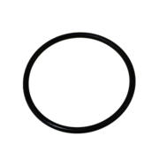 O-Ring (OR-PP-384)