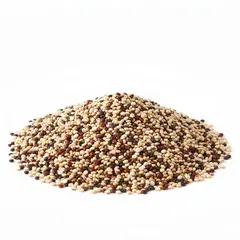 QUINOA TRI-COLOR OG | 25 LBS