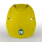 Conference Logo Decals