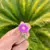FLORAL PIN ASTER
