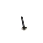 M4X25 PHILLIPS CHROME SCR