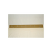 Squeegee