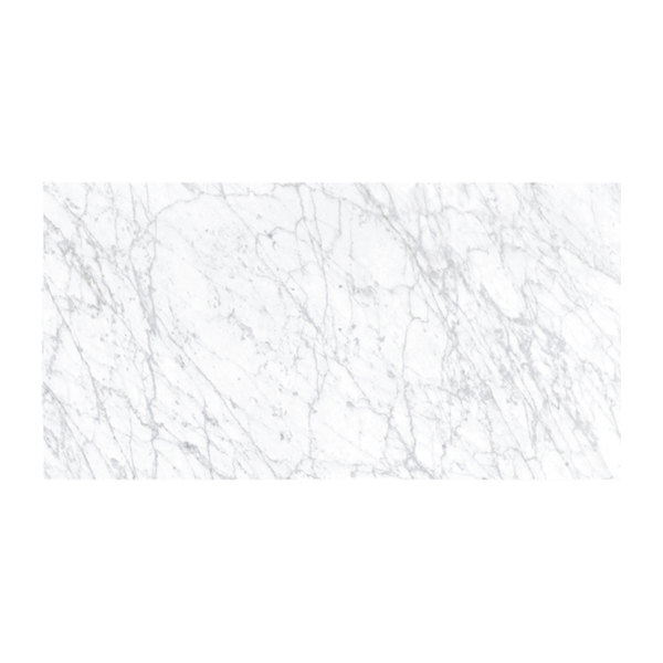 12X24 Carrara White