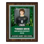 Deluxe Vividcolor AIO Award Plaques with Metal Border
