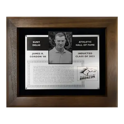 20 Series Hall of Fame & Tribute Award Plaques