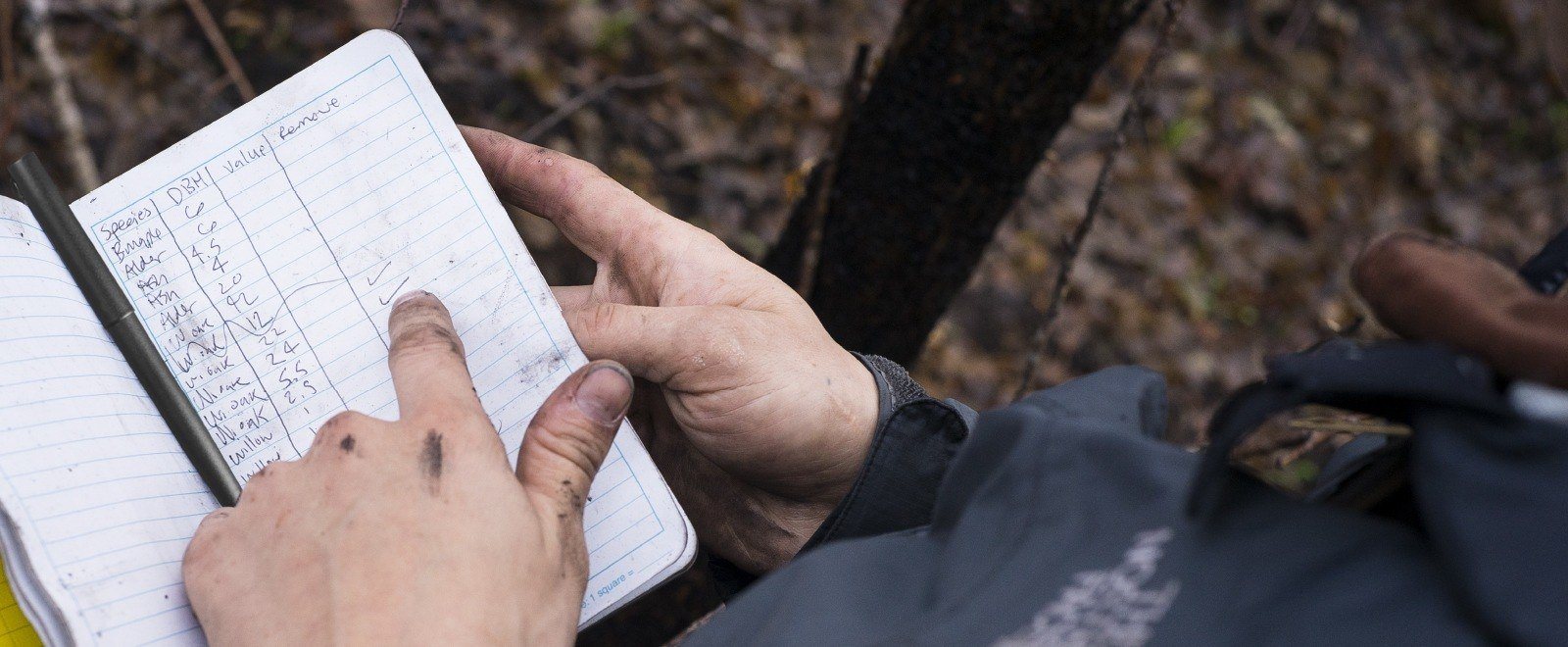 Aborist taking notes with dirty hands