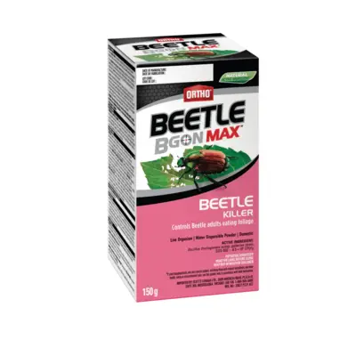 Ortho Beetle B Gon Max