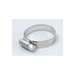 Hose Clamp