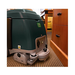 Reconditioned Nobles Strive Compact Cord Electric 5-gal. Carpet Extractor