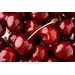 CHERRIES TART SWEETENED | 10 LBS