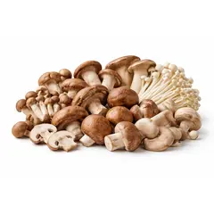 MUSHROOM MEDLEY OG | 6/4 OZ