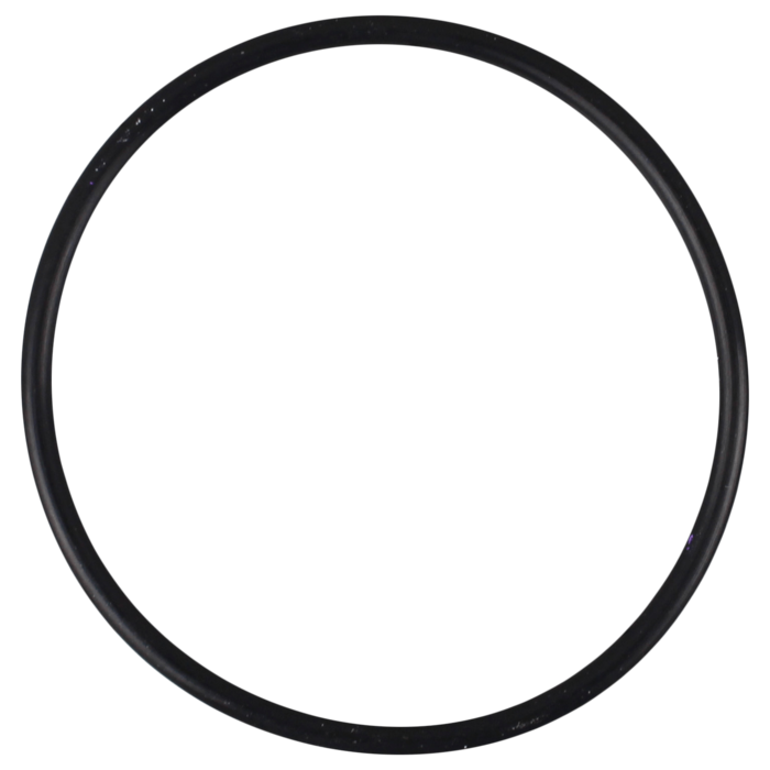 O-Ring (OR-PP-4424)
