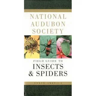 National Audubon Society Field Guide to Insects and Spiders