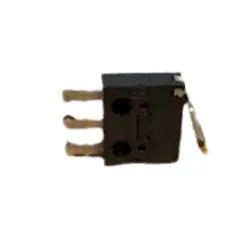 MICRO SW