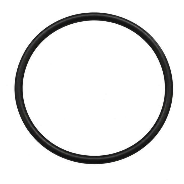 O-Ring (P-64687)