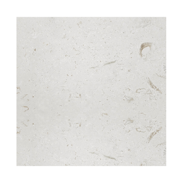 24X24 Shell Stone Light