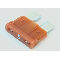 Fuse, 5 Amp