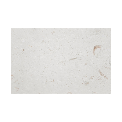 16X24 Shell Stone Light