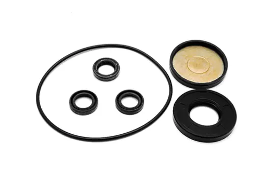 Veloci Replacement Pump Kit for AR Kit 2786
