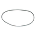 V Belt