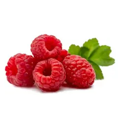 RASPBERRIES OG | 4/5.5 LBS